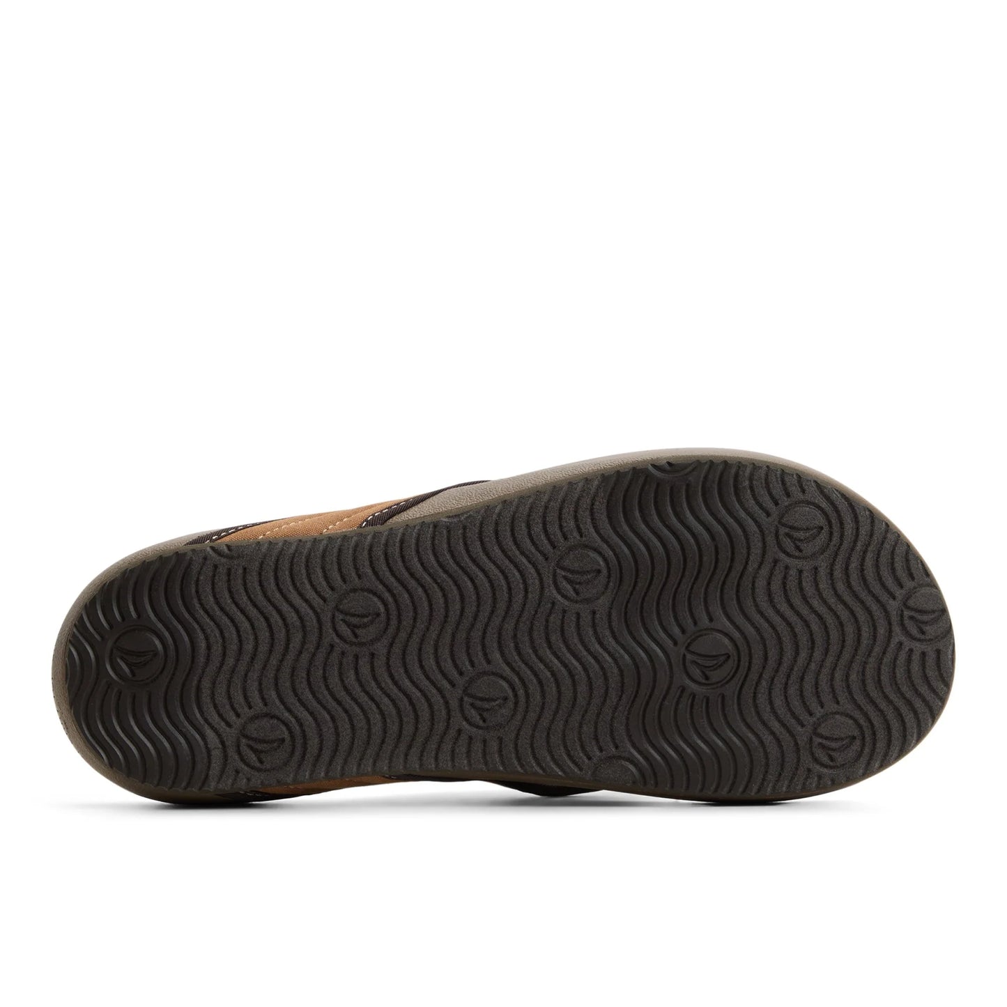 Sperry Ventura Sandal