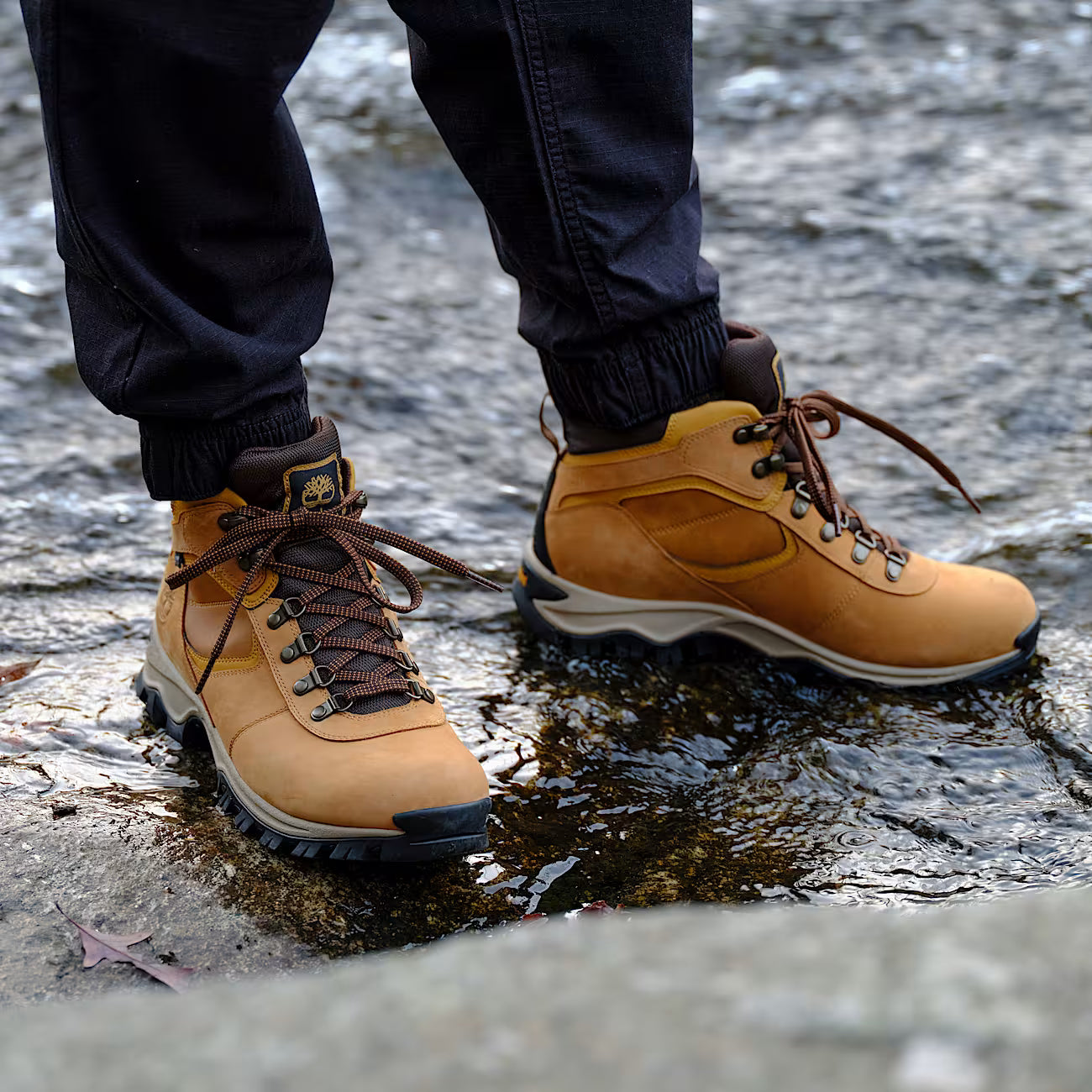 Timberland Mt. Maddsen Waterproof Hiking Boot
