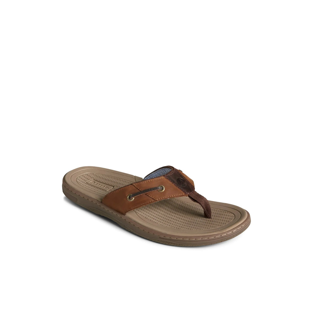 Sperry Baitfish Flip Flops